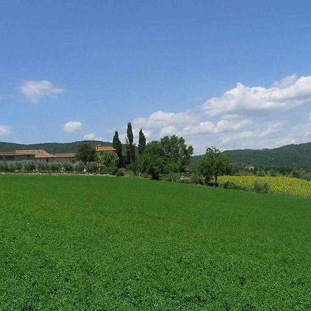 Appartamenti con cucina nelle colline toscane Anghiari Esterno foto