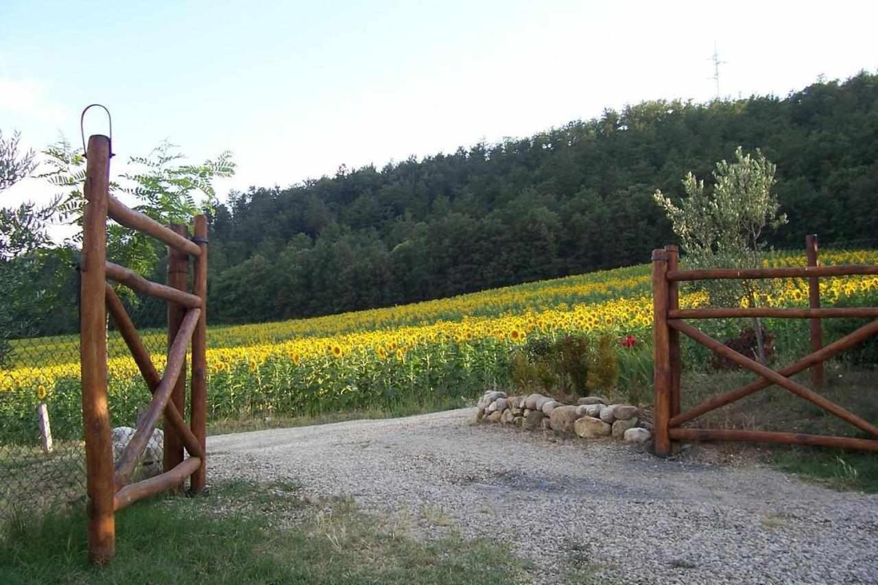 Appartamenti con cucina nelle colline toscane Anghiari Esterno foto