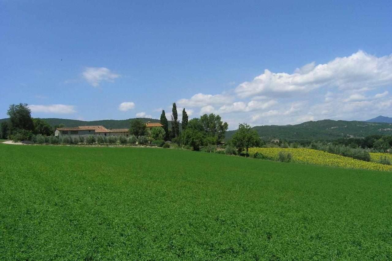 Appartamenti con cucina nelle colline toscane Anghiari Esterno foto