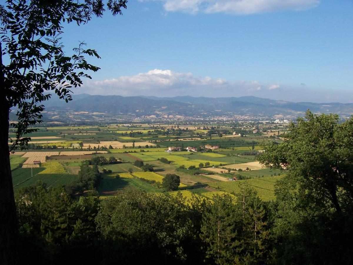 Appartamenti con cucina nelle colline toscane Anghiari Esterno foto